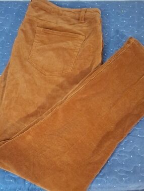 Metro Blues Skinny Corduroy Pants size 18